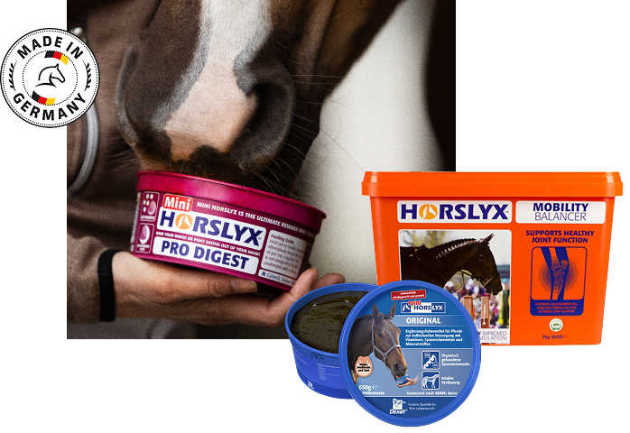 Banner Horslyx
